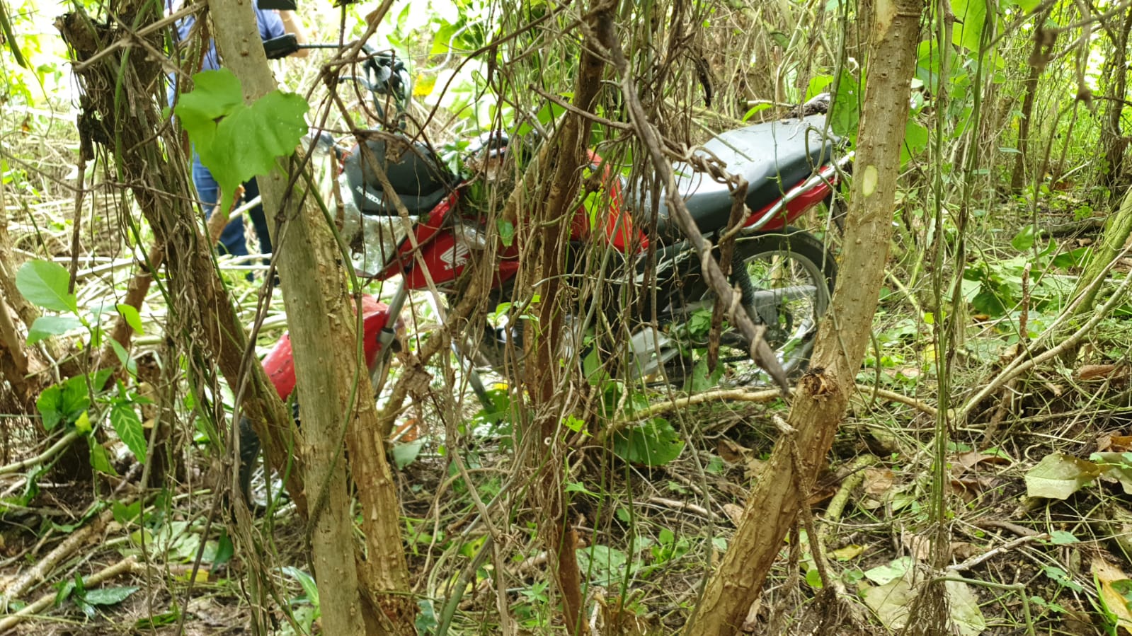 88226377-e2bc-44f3-93bf-ff21cf4947ce Homicídio em Paranaguá: adolescente é morto em plena luz do dia na ponte sobre o Rio Emboguaçu