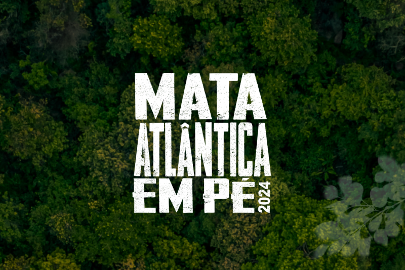 https://media.tvci.com.br/2024/09/9d89c3b7-op-mata-atlantica.png