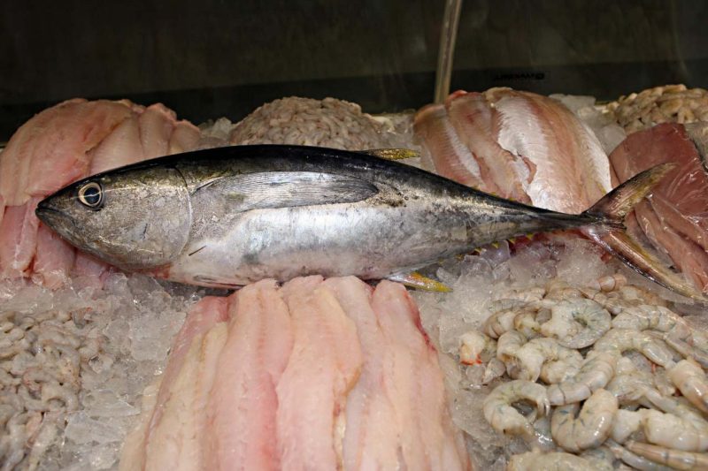 https://media.tvci.com.br/2025/04/6b63e49b-peixes-semana-santa-e1744732565917.jpg