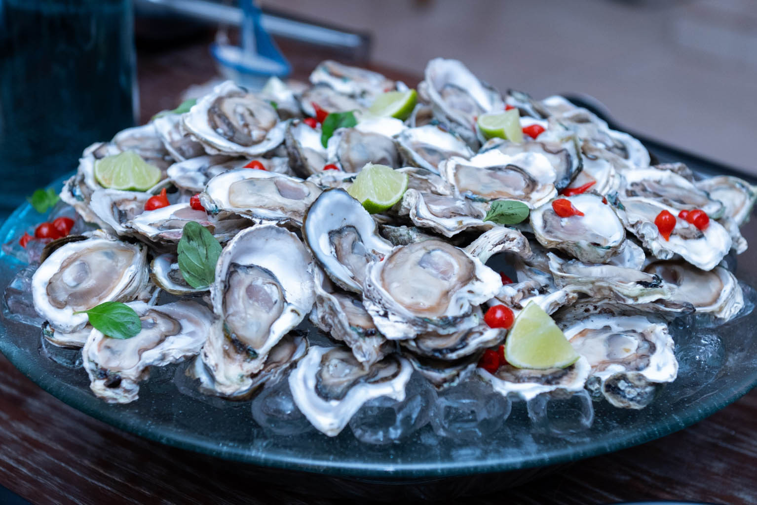 https://media.tvci.com.br/2025/10/4be4675f-ostras-do-cabaraquara-in-natura-scaled-e1761658155415-1536x1023-1.jpg