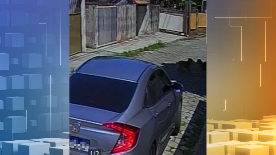 https://media.tvci.com.br/2026/02/27869424-atropelamento-cachorro.png
