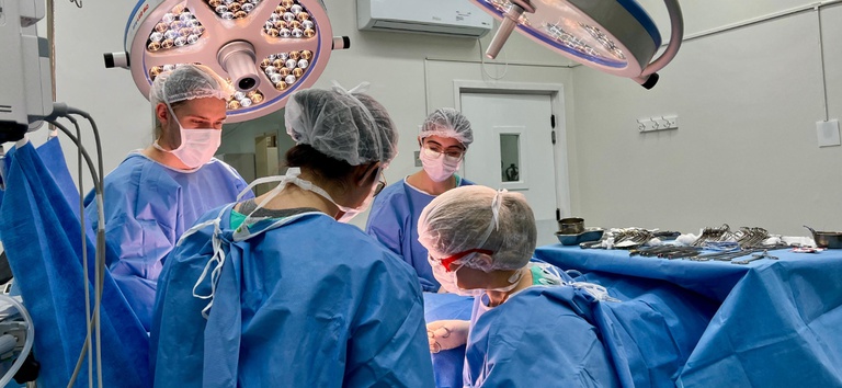 https://media.tvci.com.br/2026/05/a88b6ddc-transplante-orgaos.jpeg