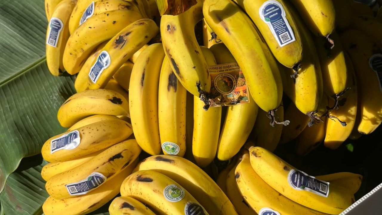 https://media.tvci.com.br/2026/07/53fbbab1-banana-guaratuba.jpg