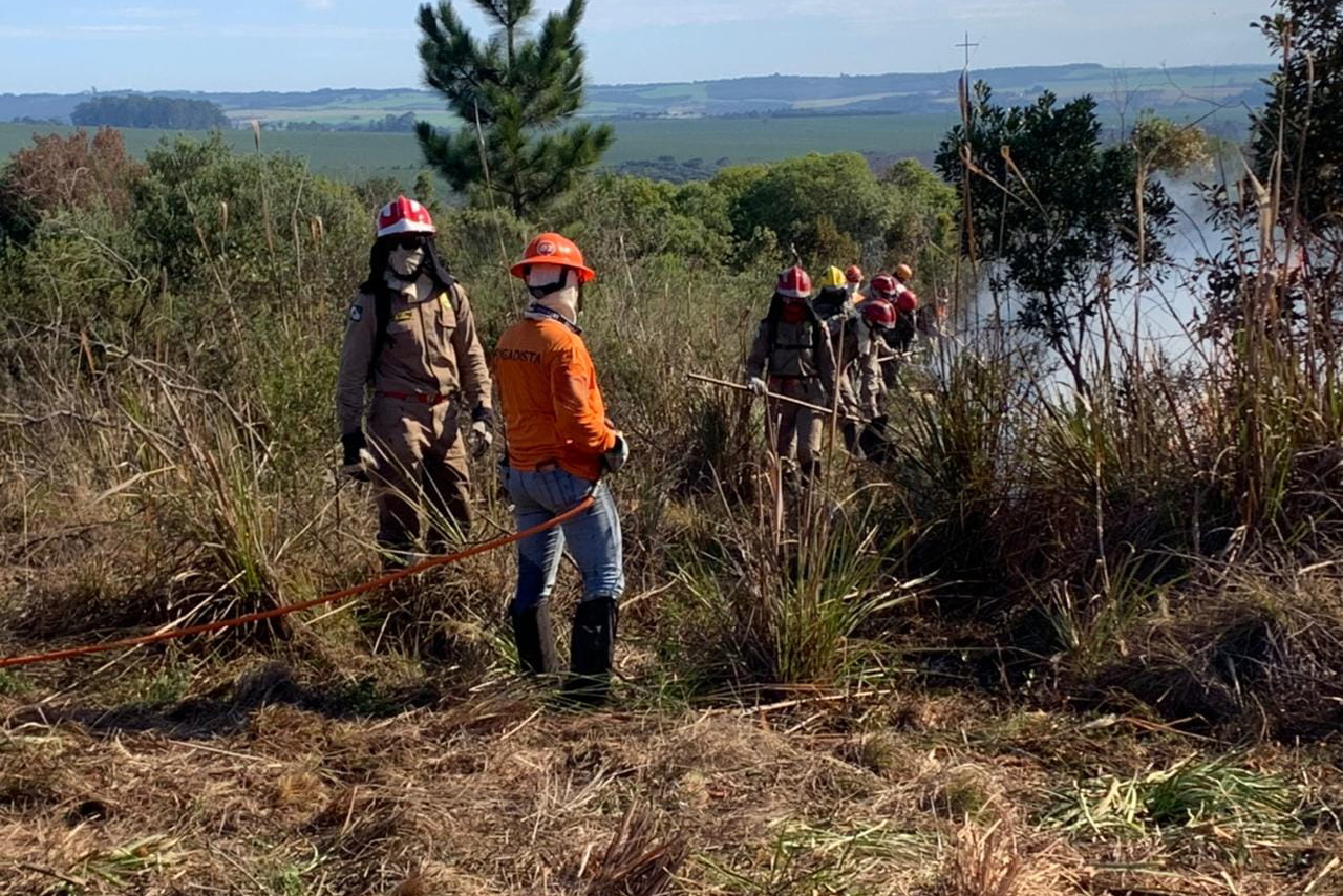 https://media.tvci.com.br/2026/08/725e12ed-voluntarios_-_luciane_4_0.jpg
